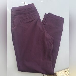 Alyx Burgundy Pants